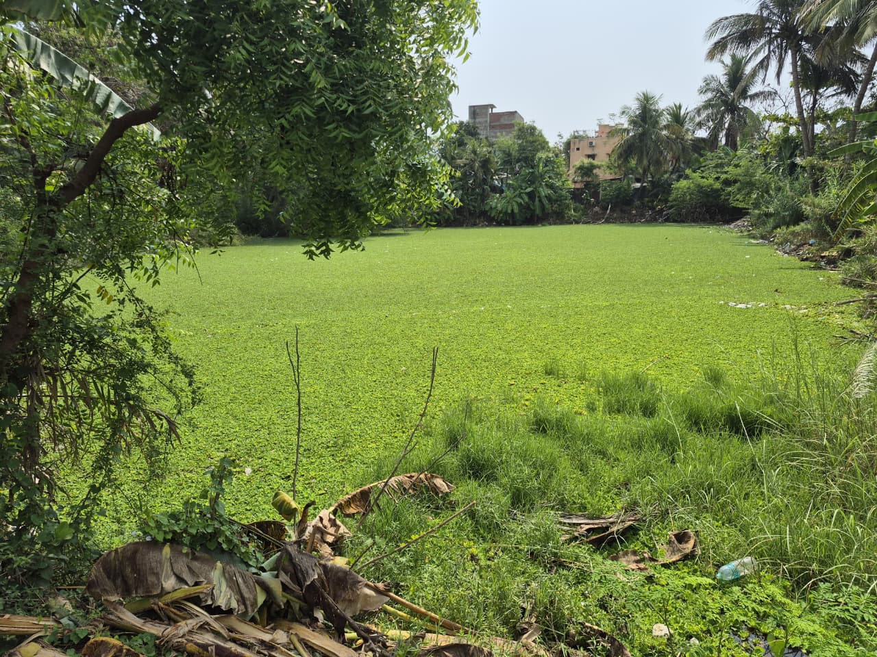 Muzhiyankulam Pond Opening Ceremony at Pooranagkuppam, Puducherry