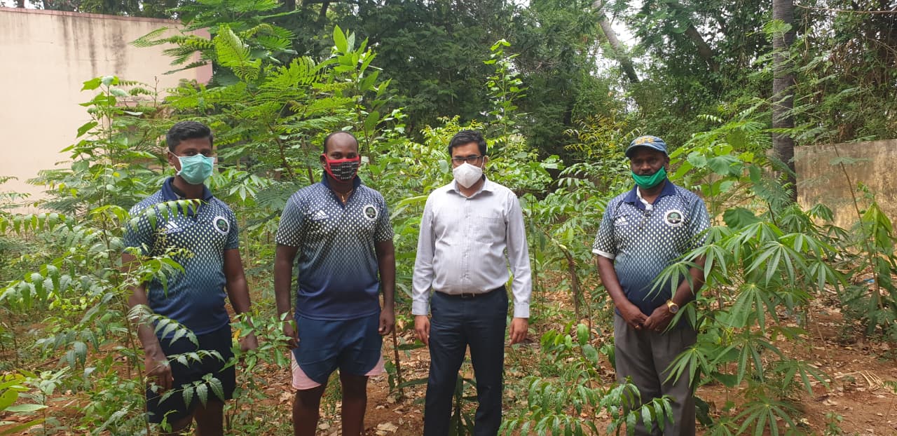 Create Your Own Miyawaki Mini Forest in Puducherry | DSC Society