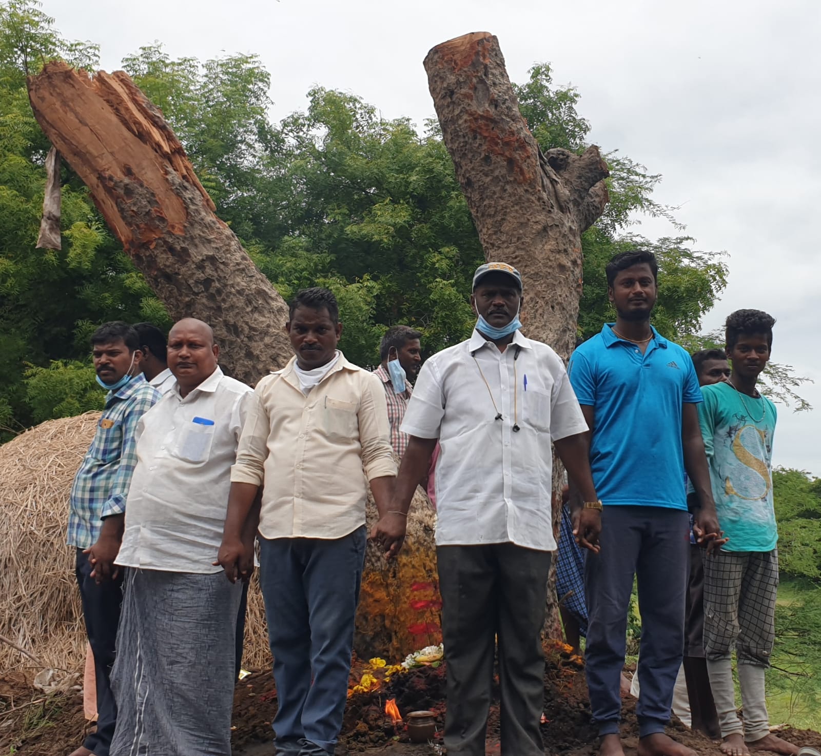 Tree Ambulance in Puducherry | Shifting & Replanting Old Trees | DSC Society