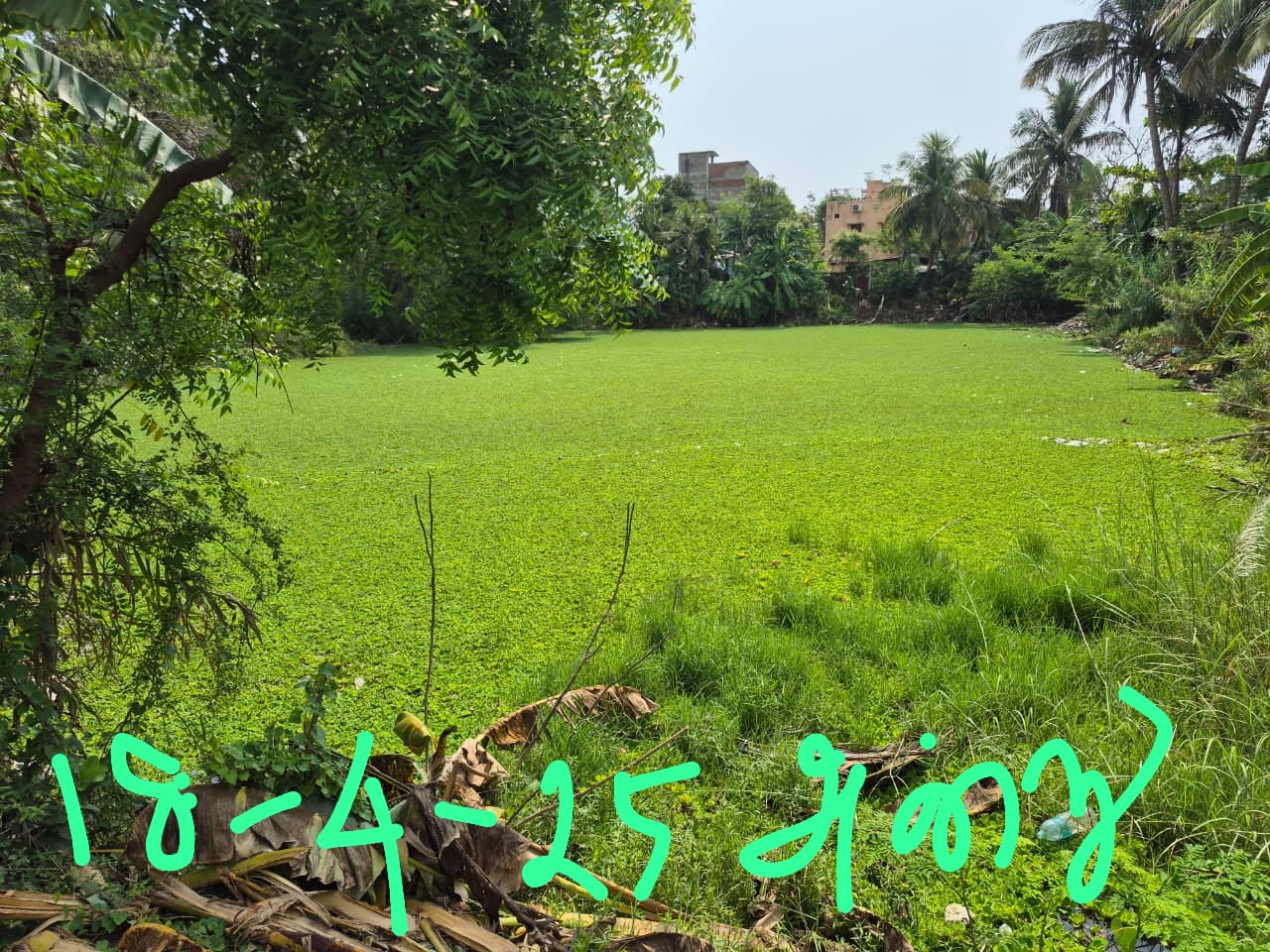 Muzhiyankulam Pond Opening Ceremony at Pooranagkuppam, Puducherry