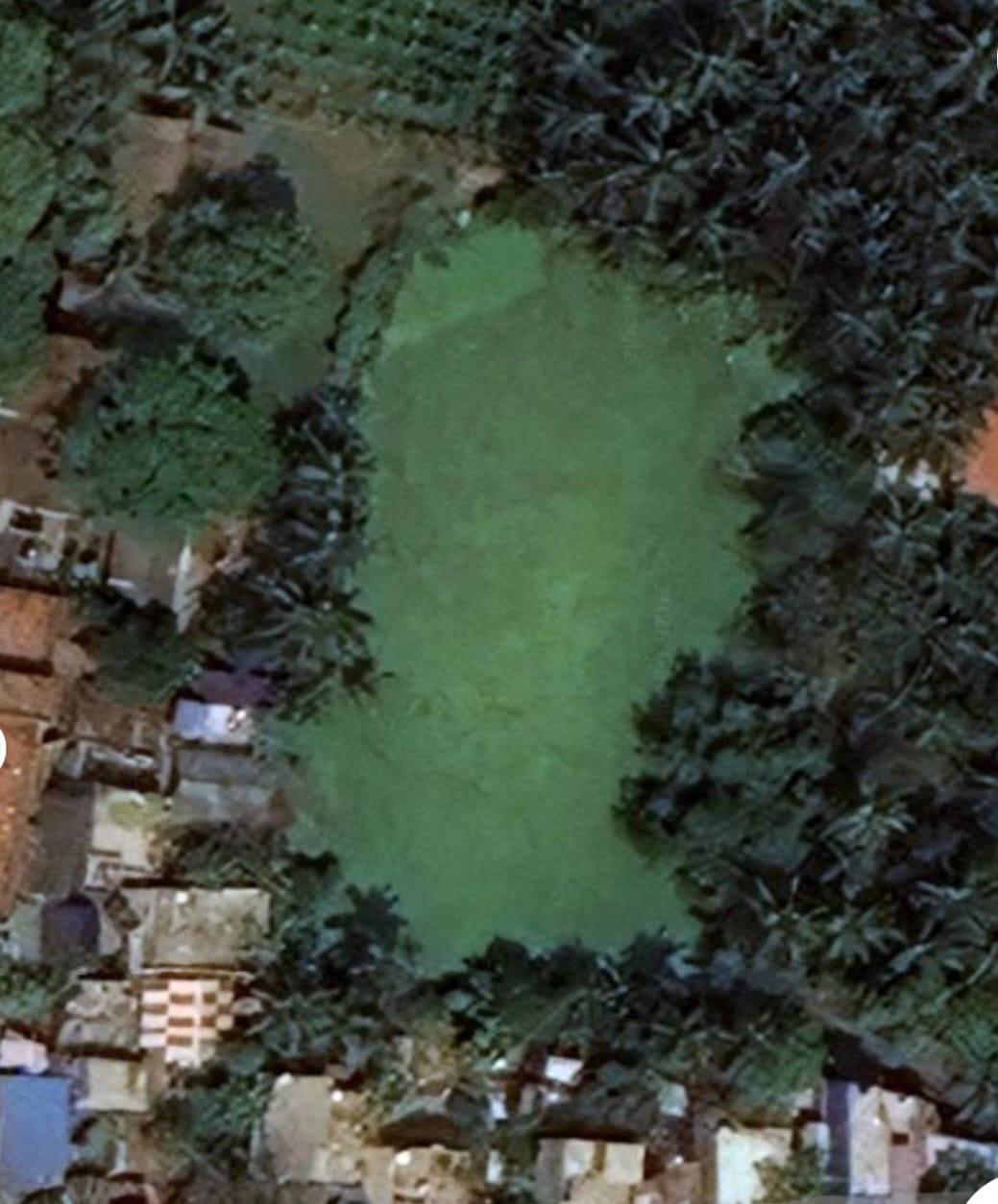 Muzhiyankulam Pond Opening Ceremony at Pooranagkuppam, Puducherry