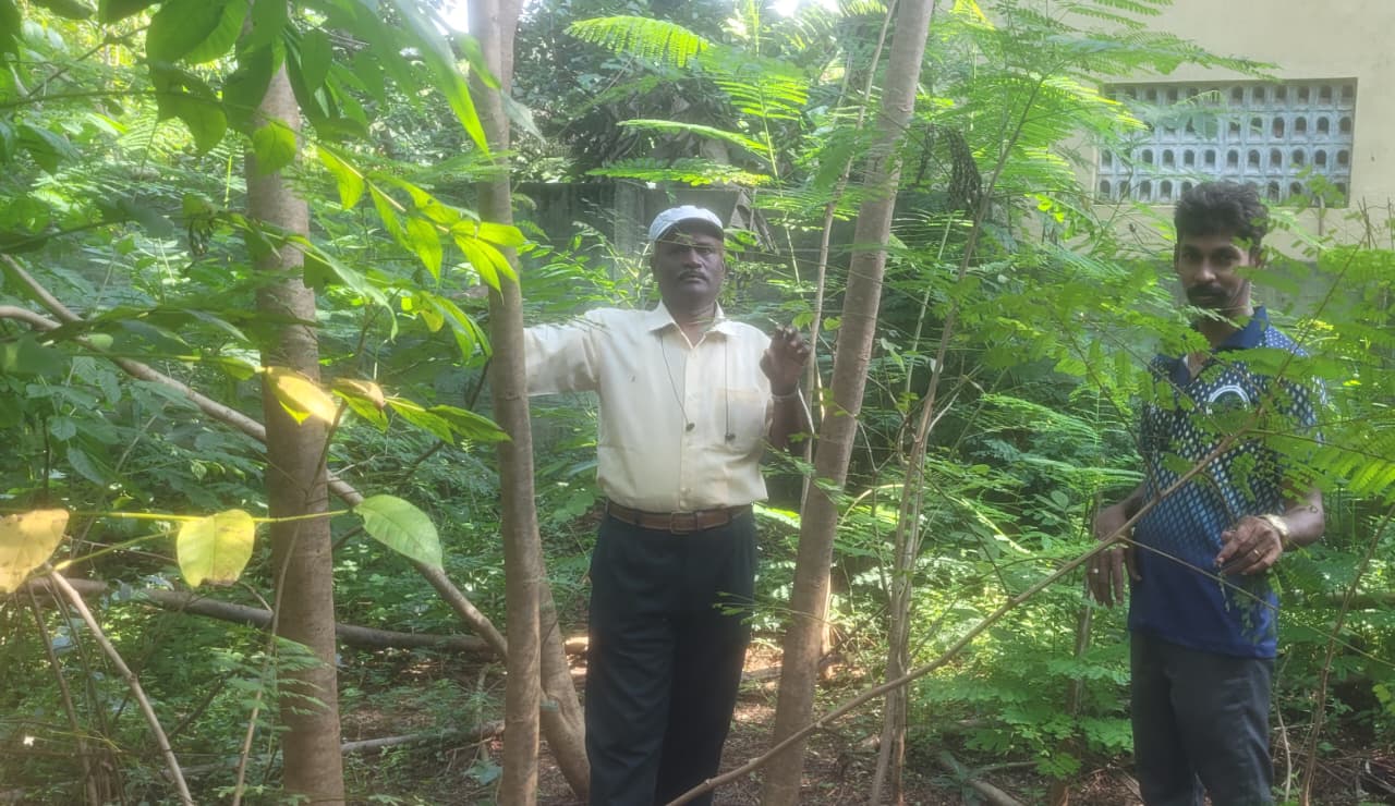 Create Your Own Miyawaki Mini Forest in Puducherry | DSC Society